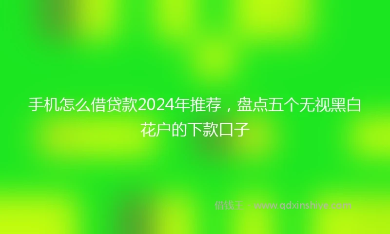 手机怎么借贷款2024年推荐，盘点五个无视黑白花户的下款口子