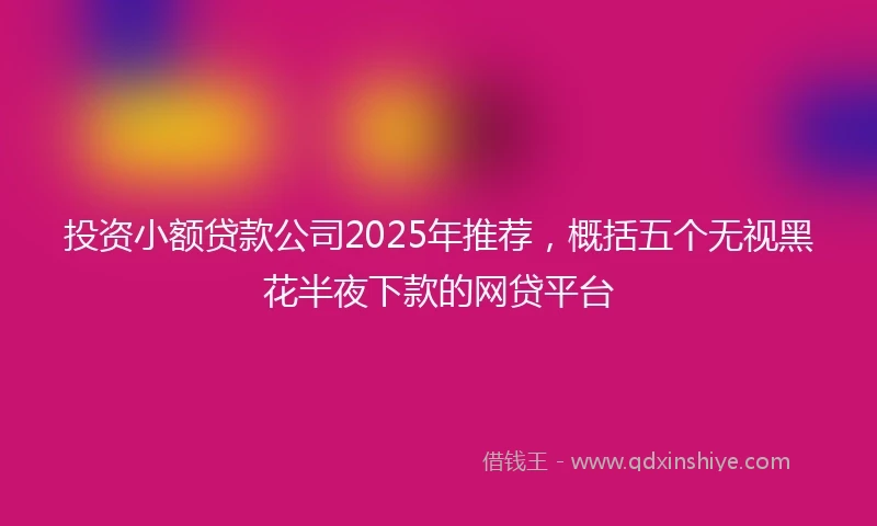 投资小额贷款公司2025年推荐，概括五个无视黑花半夜下款的网贷平台