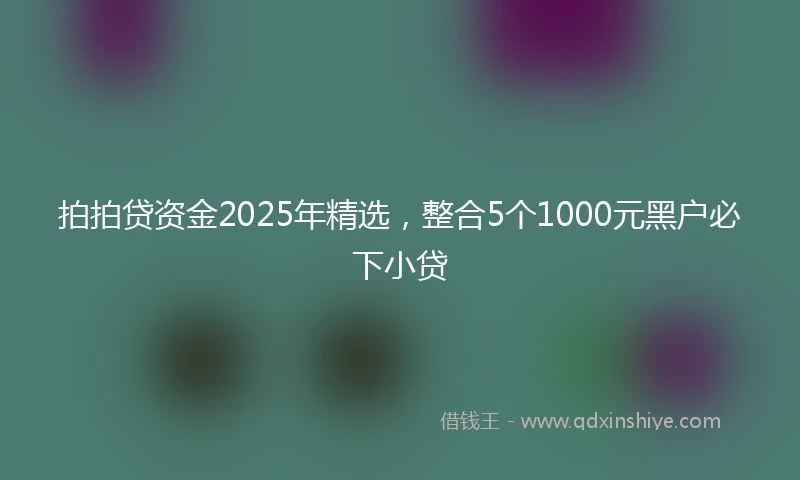 拍拍贷资金2025年精选，整合5个1000元黑户必下小贷