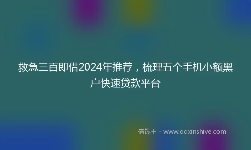 救急三百即借2024年推荐，梳理五个手机小额黑户快速贷款平台