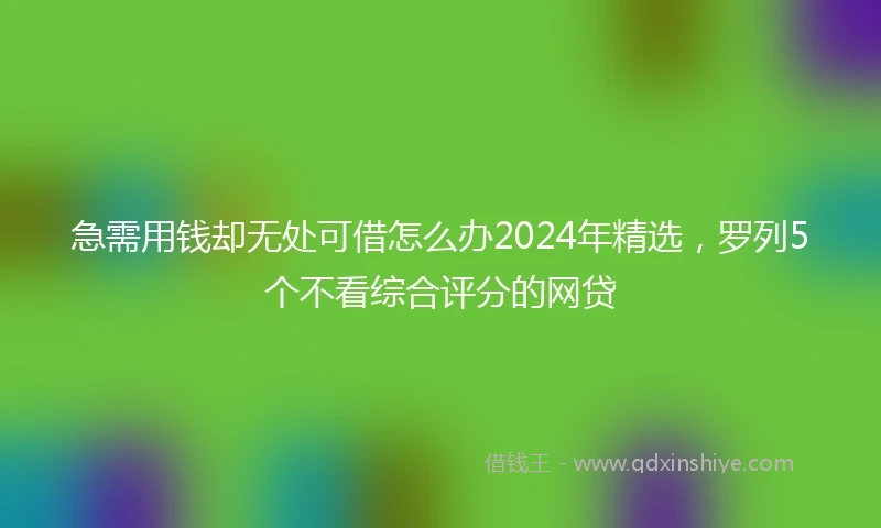 急需用钱却无处可借怎么办2024年精选，罗列5个不看综合评分的网贷