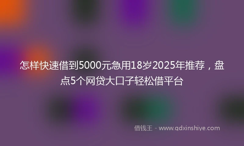 怎样快速借到5000元急用18岁2025年推荐，盘点5个网贷大口子轻松借平台