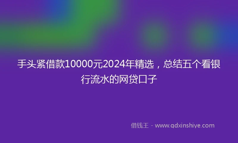 手头紧借款10000元2024年精选，总结五个看银行流水的网贷口子