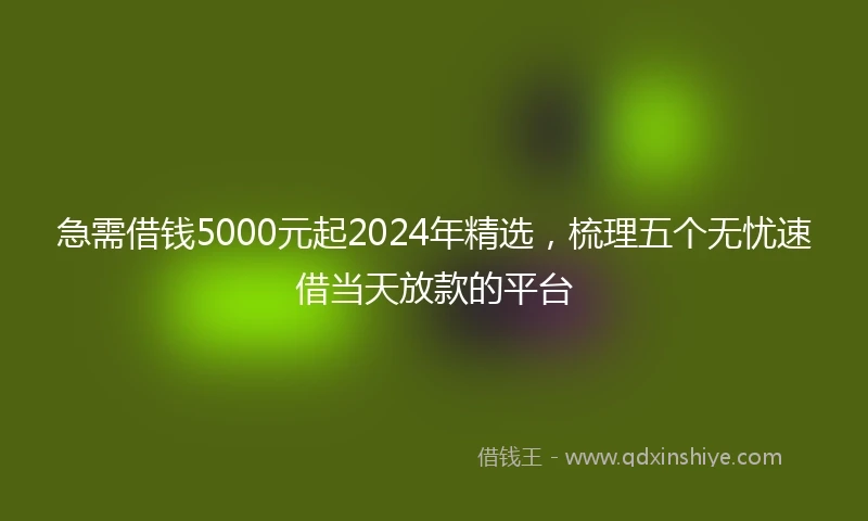 急需借钱5000元起2024年精选，梳理五个无忧速借当天放款的平台