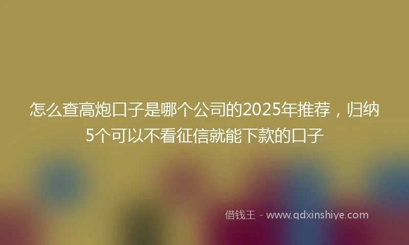 怎么查高炮口子是哪个公司的2025年推荐，归纳5个可以不看征信就能下款的口子