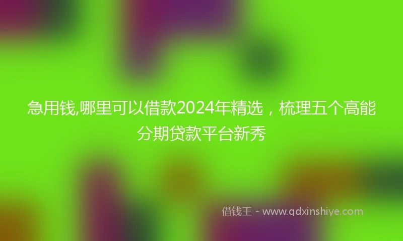 急用钱,哪里可以借款2024年精选，梳理五个高能分期贷款平台新秀