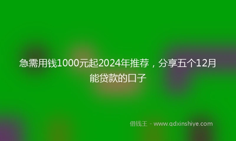 急需用钱1000元起2024年推荐，分享五个12月能贷款的口子