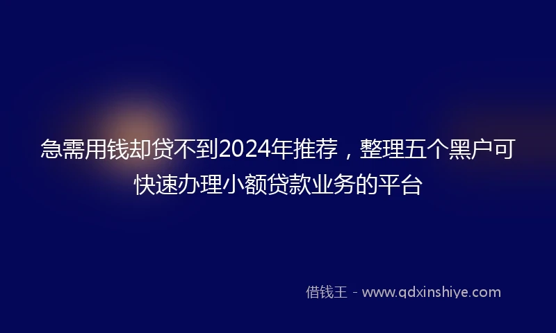 急需用钱却贷不到2024年推荐，整理五个黑户可快速办理小额贷款业务的平台