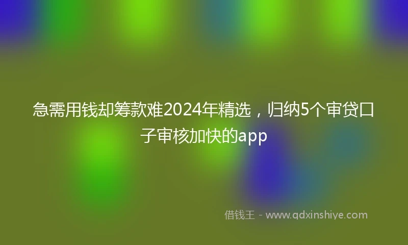 急需用钱却筹款难2024年精选，归纳5个审贷口子审核加快的app