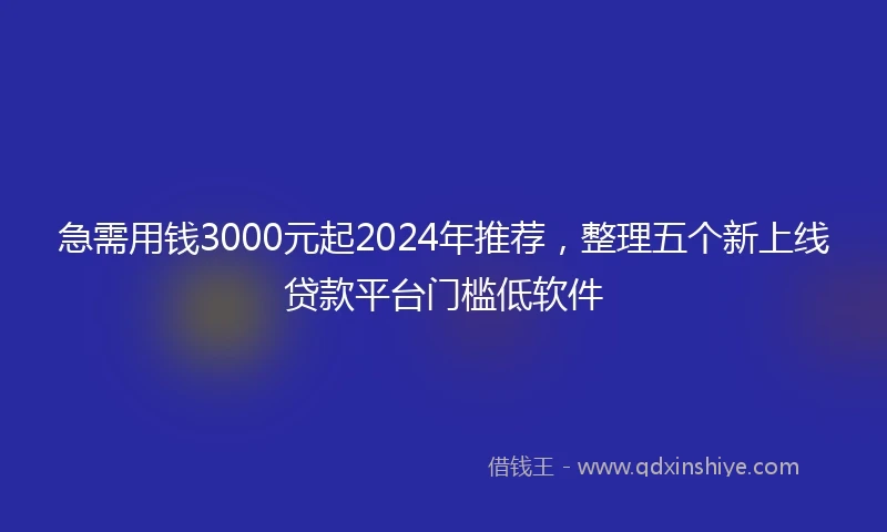 急需用钱3000元起2024年推荐，整理五个新上线贷款平台门槛低软件
