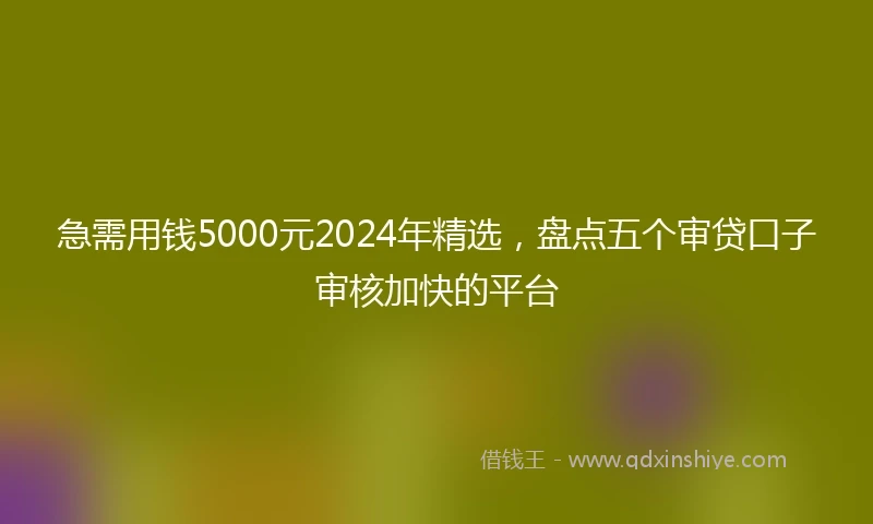 急需用钱5000元2024年精选，盘点五个审贷口子审核加快的平台