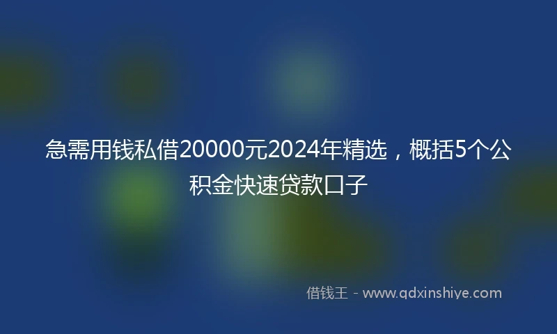 急需用钱私借20000元2024年精选，概括5个公积金快速贷款口子