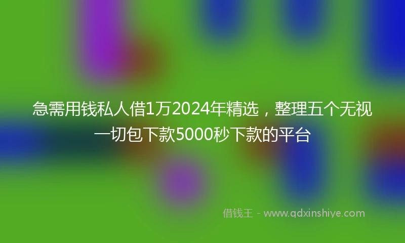 急需用钱私人借1万2024年精选，整理五个无视一切包下款5000秒下款的平台