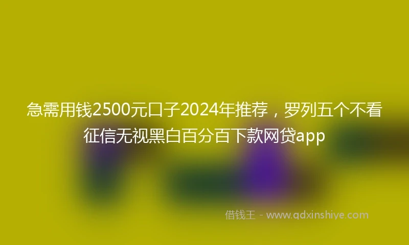 急需用钱2500元口子2024年推荐，罗列五个不看征信无视黑白百分百下款网贷app