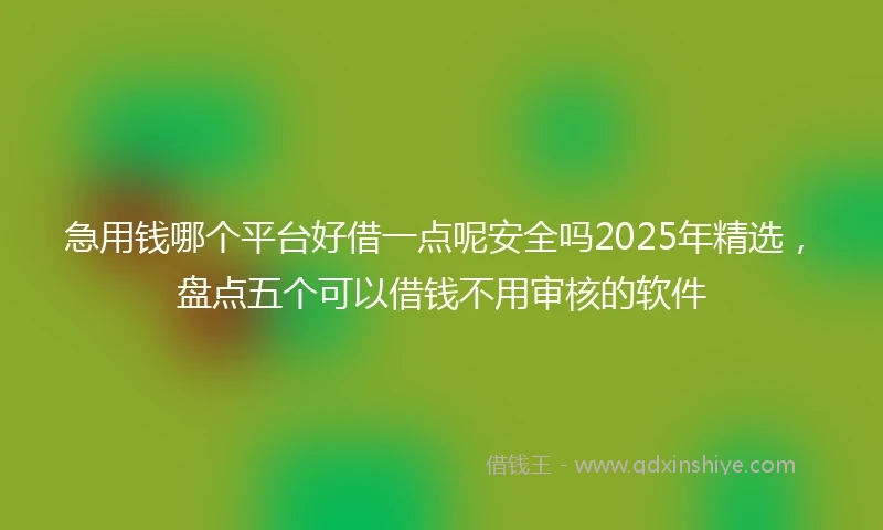 急用钱哪个平台好借一点呢安全吗2025年精选，盘点五个可以借钱不用审核的软件