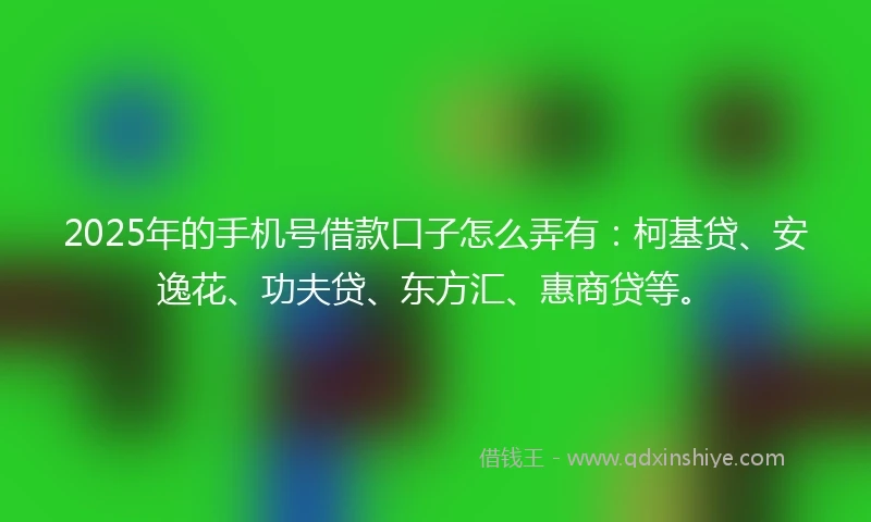 2025年的手机号借款口子怎么弄有：柯基贷、安逸花、功夫贷、东方汇、惠商贷等。
