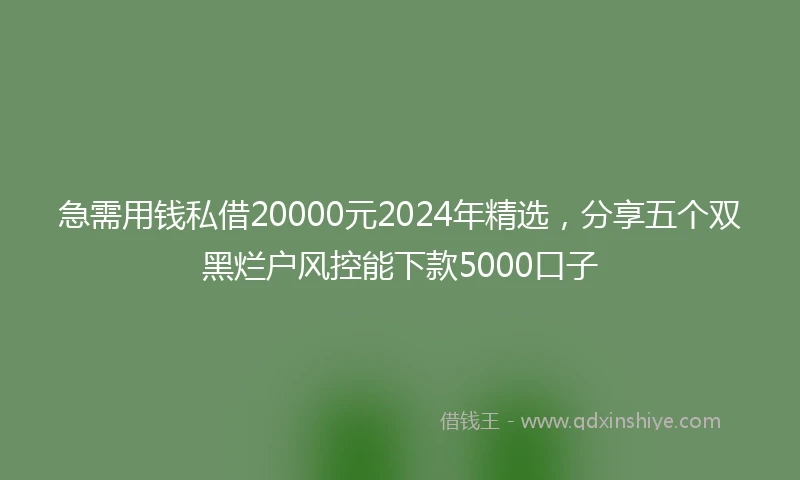 急需用钱私借20000元2024年精选，分享五个双黑烂户风控能下款5000口子