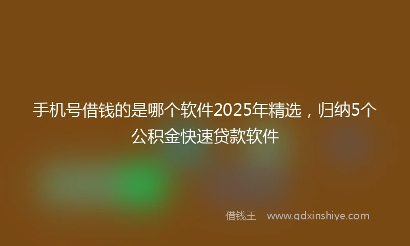 手机号借钱的是哪个软件2025年精选，归纳5个公积金快速贷款软件
