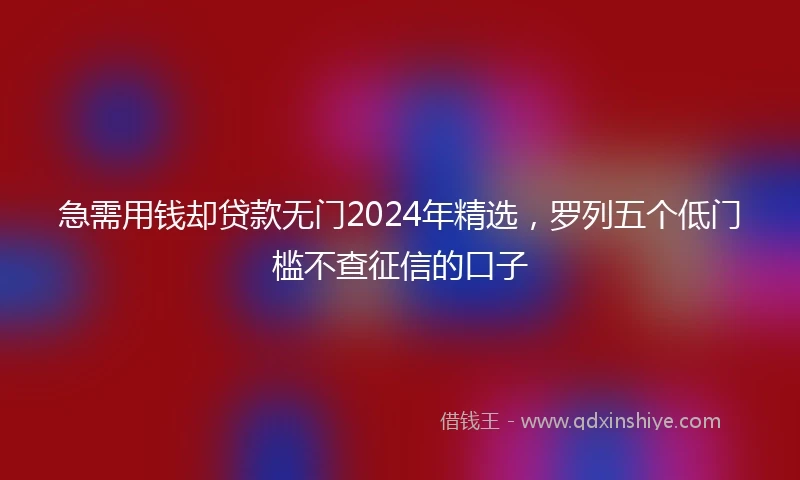 急需用钱却贷款无门2024年精选，罗列五个低门槛不查征信的口子