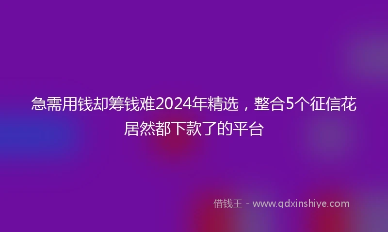 急需用钱却筹钱难2024年精选，整合5个征信花居然都下款了的平台