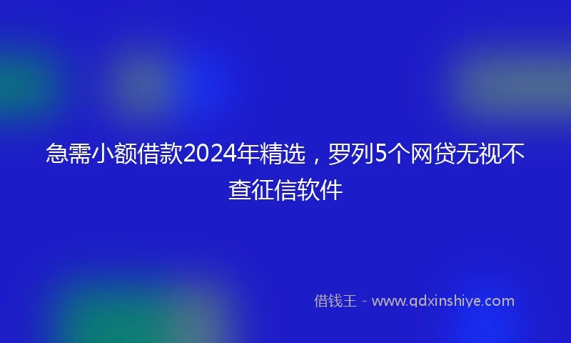 急需小额借款2024年精选，罗列5个网贷无视不查征信软件