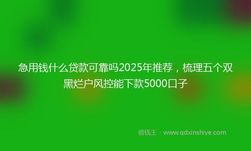 急用钱什么贷款可靠吗2025年推荐，梳理五个双黑烂户风控能下款5000口子