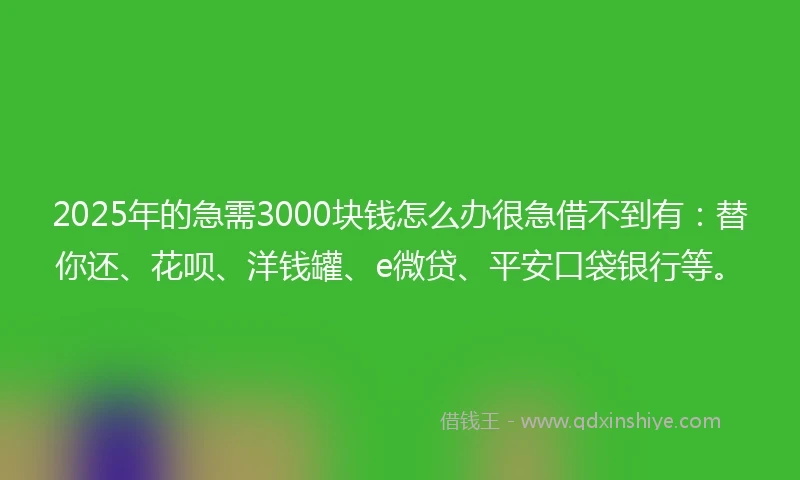 2025年的急需3000块钱怎么办很急借不到有：替你还、花呗、洋钱罐、e微贷、平安口袋银行等。