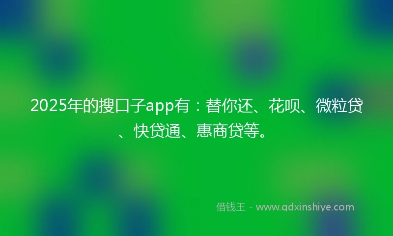 2025年的搜口子app有：替你还、花呗、微粒贷、快贷通、惠商贷等。