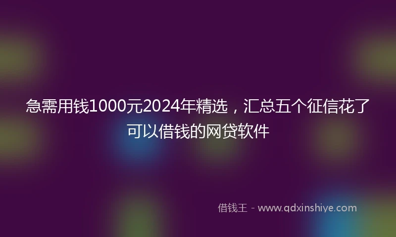 急需用钱1000元2024年精选，汇总五个征信花了可以借钱的网贷软件