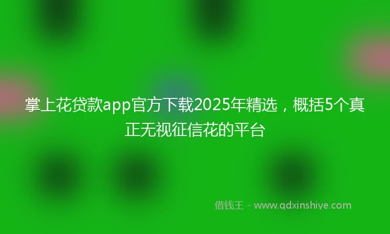 掌上花贷款app官方下载2025年精选，概括5个真正无视征信花的平台