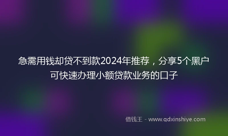 急需用钱却贷不到款2024年推荐，分享5个黑户可快速办理小额贷款业务的口子