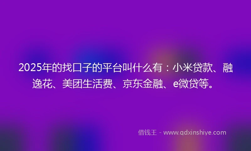 2025年的找口子的平台叫什么有：小米贷款、融逸花、美团生活费、京东金融、e微贷等。