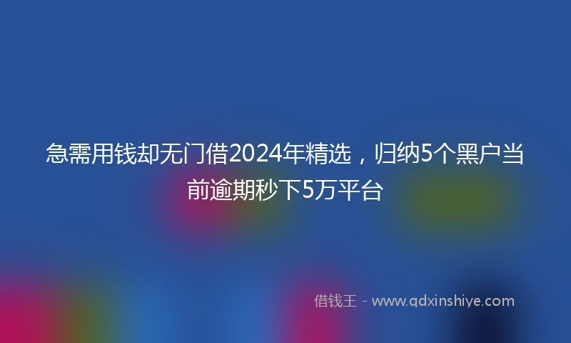 急需用钱却无门借2024年精选，归纳5个黑户当前逾期秒下5万平台