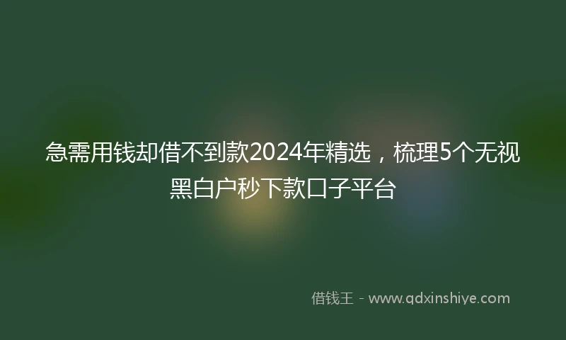 急需用钱却借不到款2024年精选，梳理5个无视黑白户秒下款口子平台