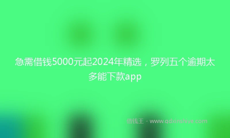 急需借钱5000元起2024年精选，罗列五个逾期太多能下款app
