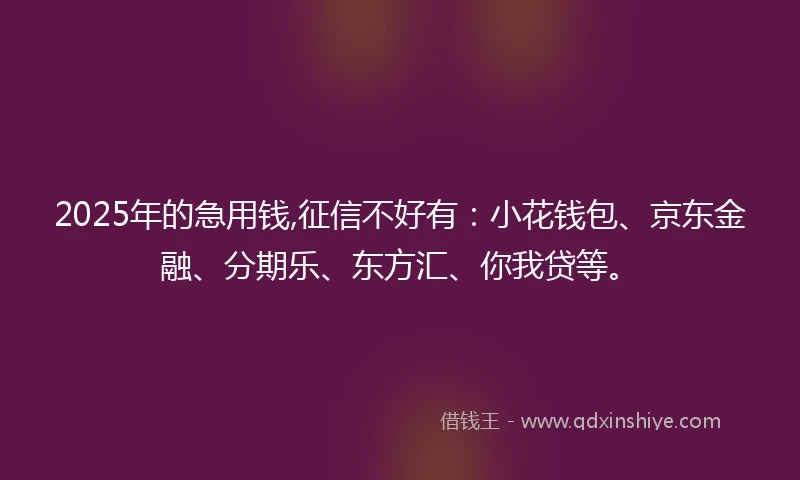 2025年的急用钱,征信不好有：小花钱包、京东金融、分期乐、东方汇、你我贷等。