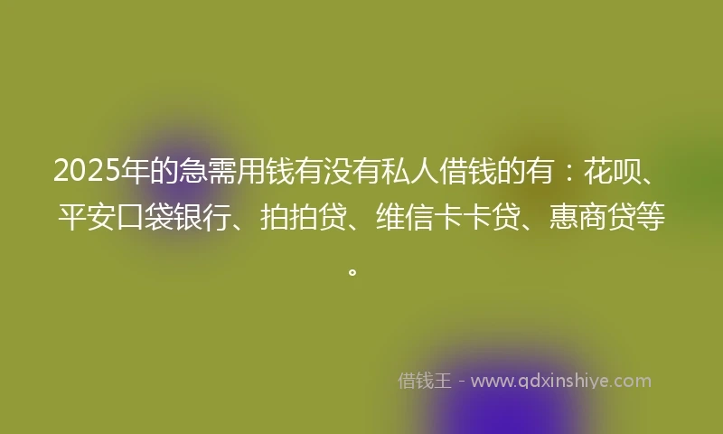 2025年的急需用钱有没有私人借钱的有：花呗、平安口袋银行、拍拍贷、维信卡卡贷、惠商贷等。