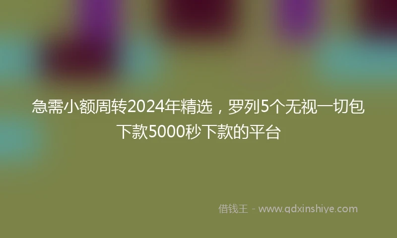 急需小额周转2024年精选，罗列5个无视一切包下款5000秒下款的平台