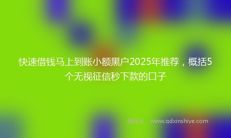 快速借钱马上到账小额黑户2025年推荐，概括5个无视征信秒下款的口子