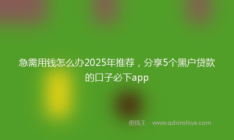 急需用钱怎么办2025年推荐，分享5个黑户贷款的口子必下app
