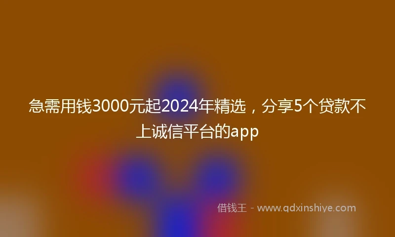 急需用钱3000元起2024年精选，分享5个贷款不上诚信平台的app