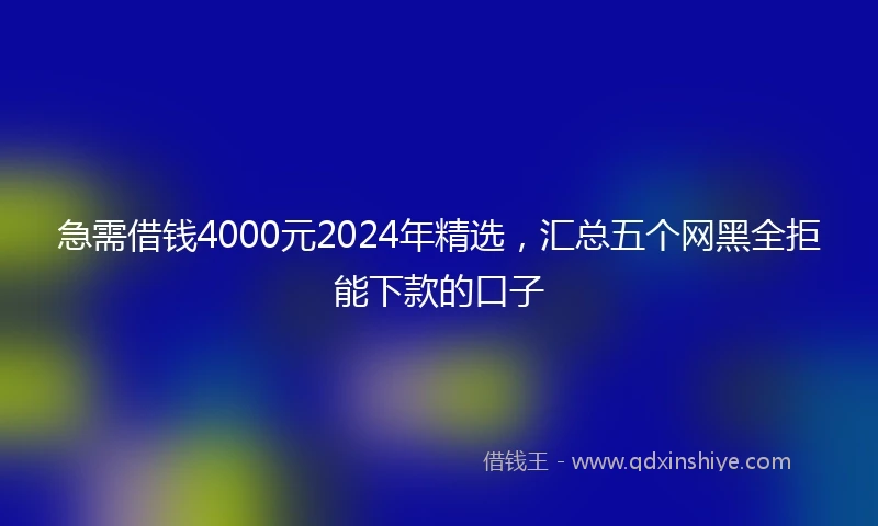 急需借钱4000元2024年精选，汇总五个网黑全拒能下款的口子