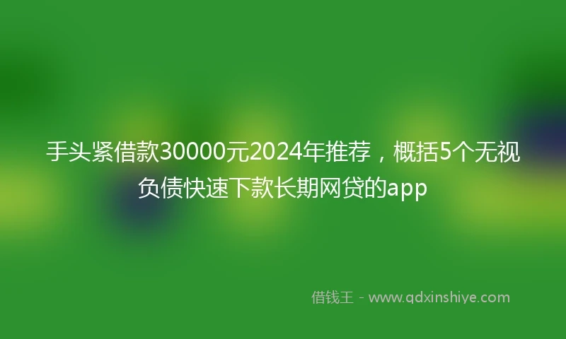 手头紧借款30000元2024年推荐，概括5个无视负债快速下款长期网贷的app