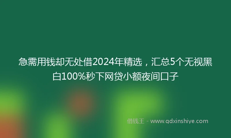 急需用钱却无处借2024年精选，汇总5个无视黑白100%秒下网贷小额夜间口子