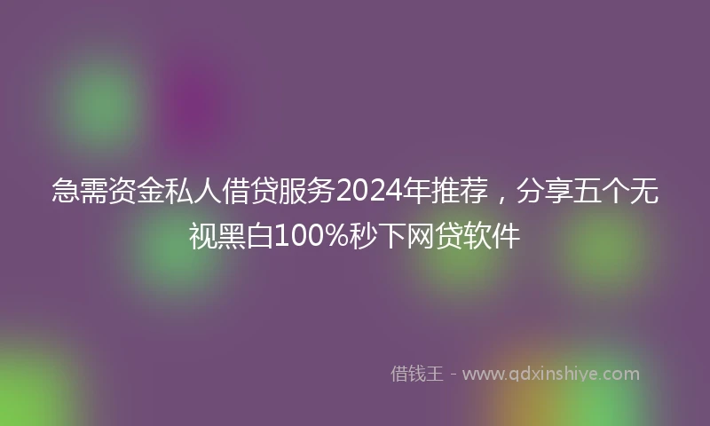 急需资金私人借贷服务2024年推荐，分享五个无视黑白100%秒下网贷软件