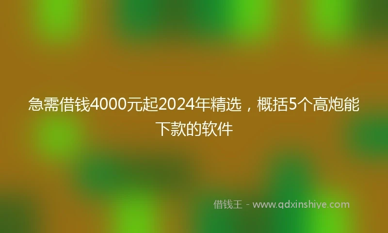 急需借钱4000元起2024年精选，概括5个高炮能下款的软件