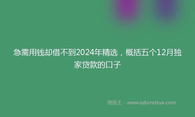 急需用钱却借不到2024年精选，概括五个12月独家贷款的口子
