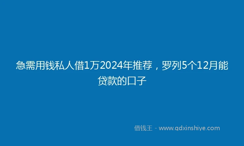 急需用钱私人借1万2024年推荐，罗列5个12月能贷款的口子