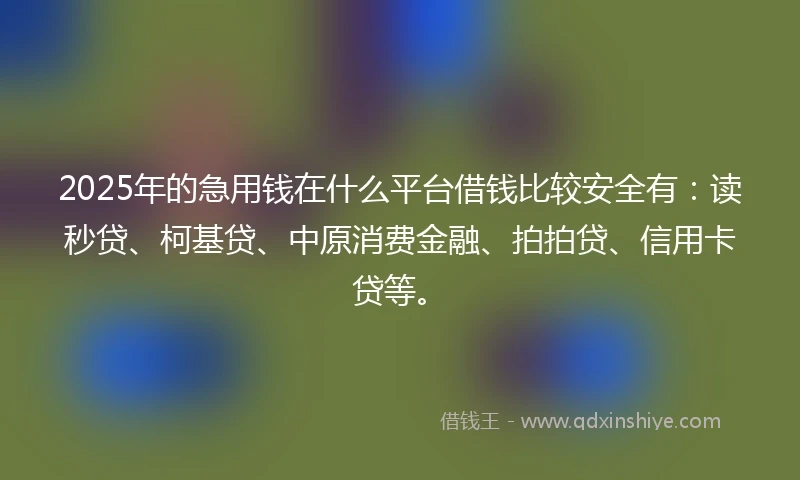 2025年的急用钱在什么平台借钱比较安全有：读秒贷、柯基贷、中原消费金融、拍拍贷、信用卡贷等。