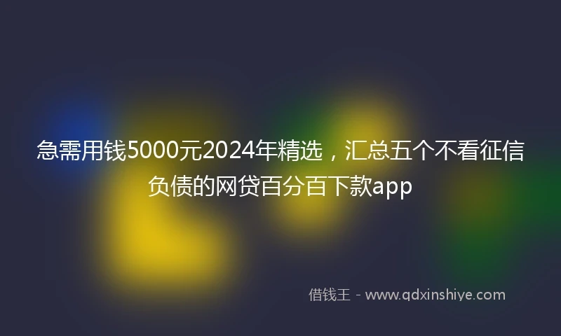 急需用钱5000元2024年精选，汇总五个不看征信负债的网贷百分百下款app